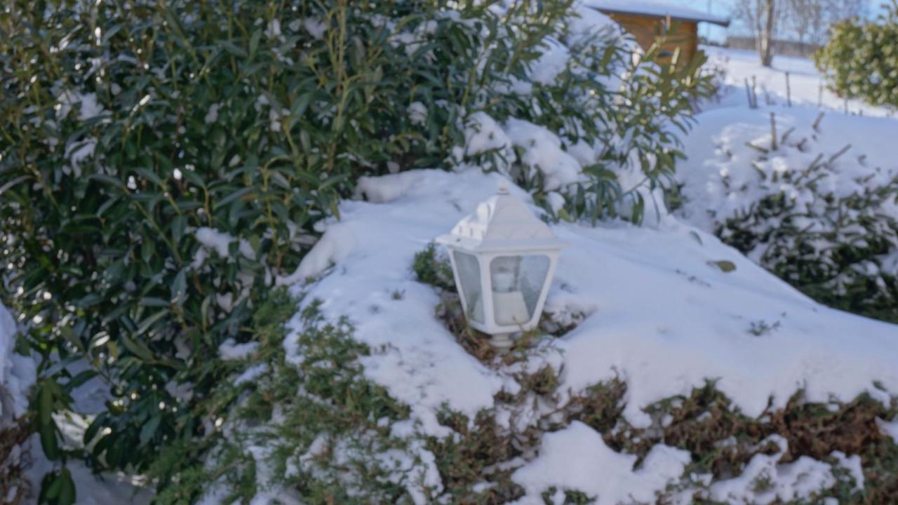 Aritee Apartments Sonnenschein Willingen  Bagian luar foto